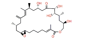 Amphidinolide G3